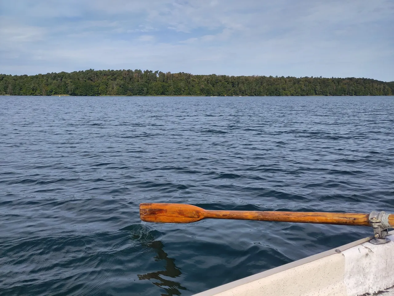 Ruder eines Bootes auf einem See, im Hintergrund Wald